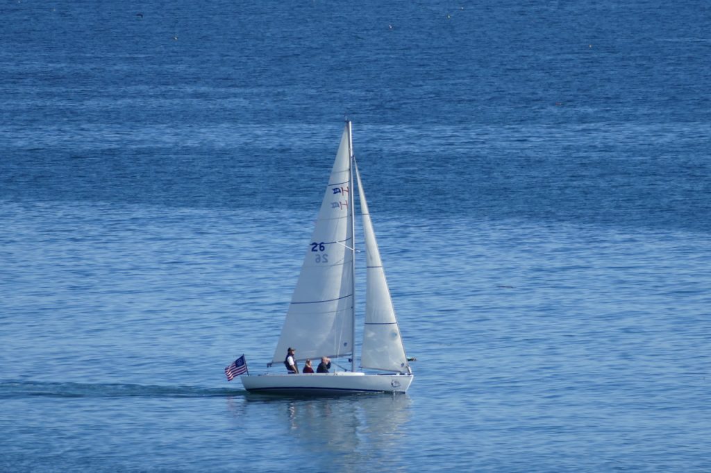 harbour 20 sailboat